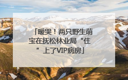 暖哭！两只野生萌宝在抚松林业局“住”上了VIP病房