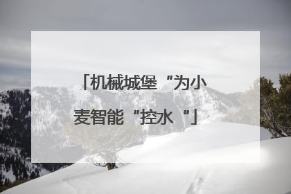 机械城堡“为小麦智能“控水“