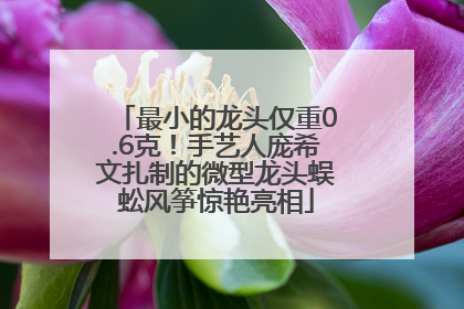 最小的龙头仅重0.6克！手艺人庞希文扎制的微型龙头蜈蚣风筝惊艳亮相