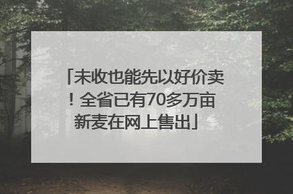 未收也能先以好价卖！全省已有70多万亩新麦在网上售出