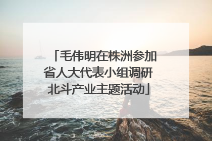 毛伟明在株洲参加省人大代表小组调研北斗产业主题活动