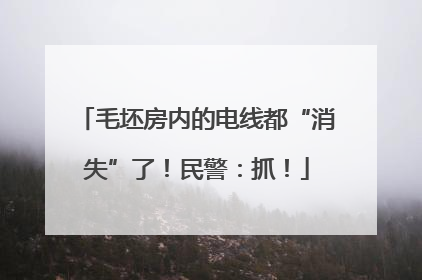 毛坯房内的电线都“消失”了！民警：抓！
