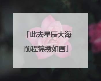 此去星辰大海 前程锦绣如画
