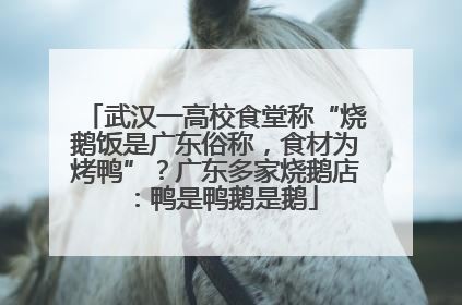 武汉一高校食堂称“烧鹅饭是广东俗称，食材为烤鸭”？广东多家烧鹅店：鸭是鸭鹅是鹅