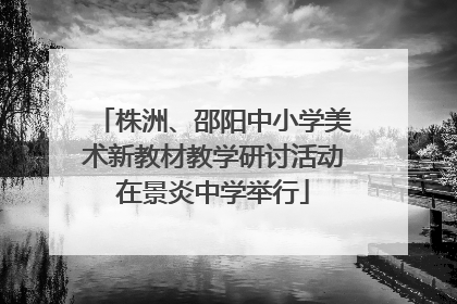 株洲、邵阳中小学美术新教材教学研讨活动在景炎中学举行