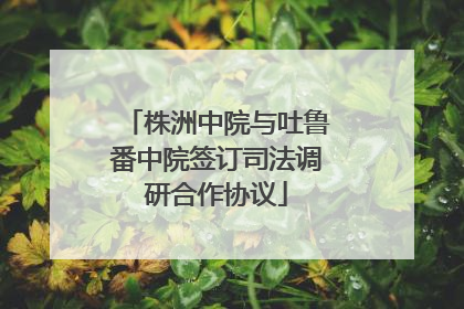 株洲中院与吐鲁番中院签订司法调研合作协议