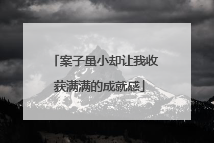 案子虽小却让我收获满满的成就感
