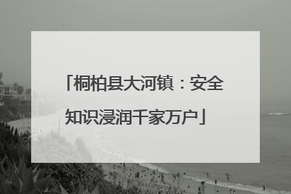 桐柏县大河镇：安全知识浸润千家万户
