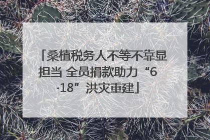 桑植税务人不等不靠显担当 全员捐款助力“6·18”洪灾重建