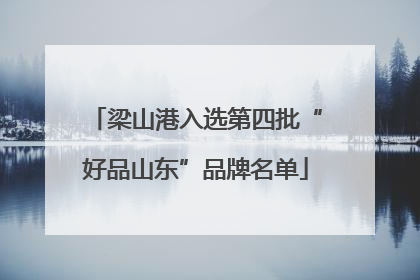 梁山港入选第四批“好品山东”品牌名单