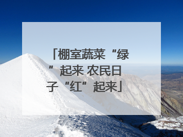 棚室蔬菜“绿”起来 农民日子“红”起来