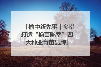 榆中新先事｜多措打造“榆苗陇萃”四大种业育苗品牌