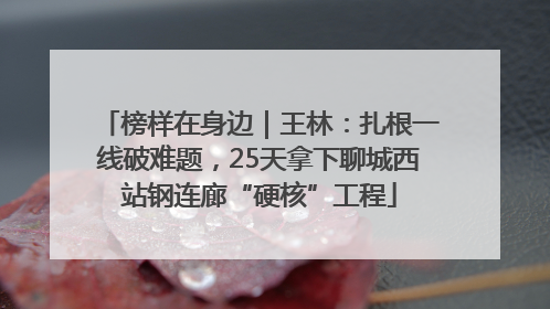 榜样在身边｜王林：扎根一线破难题，25天拿下聊城西站钢连廊“硬核”工程