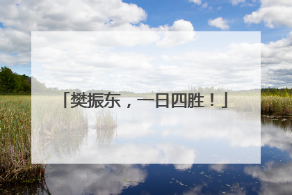 樊振东，一日四胜！
