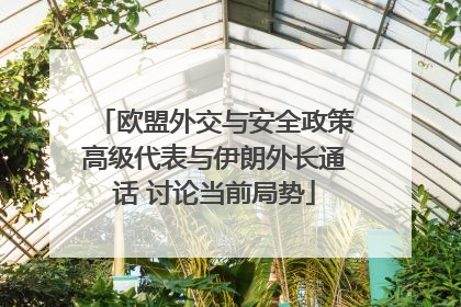 欧盟外交与安全政策高级代表与伊朗外长通话 讨论当前局势