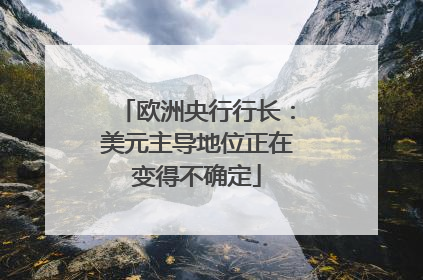 欧洲央行行长：美元主导地位正在变得不确定