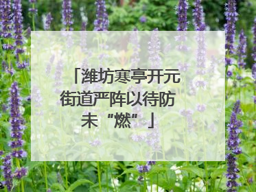 潍坊寒亭开元街道严阵以待防未“燃”