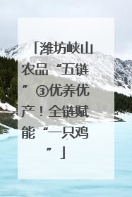潍坊峡山农品“五链”③优养优产！全链赋能“一只鸡”