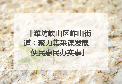 潍坊峡山区岞山街道：聚力集采谋发展 便民惠民办实事