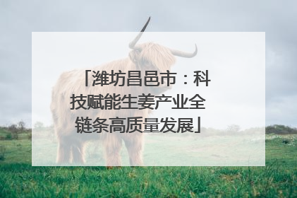 潍坊昌邑市：科技赋能生姜产业全链条高质量发展