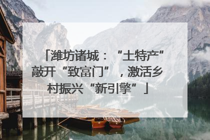 潍坊诸城：“土特产”敲开“致富门”，激活乡村振兴“新引擎”