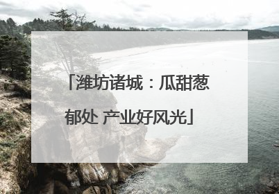 潍坊诸城：瓜甜葱郁处 产业好风光