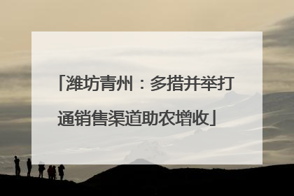 潍坊青州：多措并举打通销售渠道助农增收