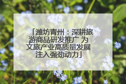 潍坊青州：深耕旅游商品研发推广 为文旅产业高质量发展注入强劲动力