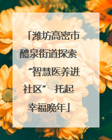 潍坊高密市醴泉街道探索“智慧医养进社区” 托起幸福晚年