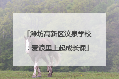 潍坊高新区汶泉学校：麦浪里上起成长课