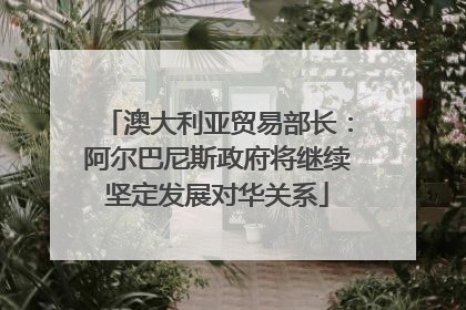 澳大利亚贸易部长：阿尔巴尼斯政府将继续坚定发展对华关系