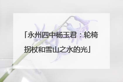 永州四中杨玉君：轮椅拐杖和雪山之水的光
