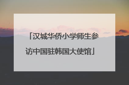 汉城华侨小学师生参访中国驻韩国大使馆