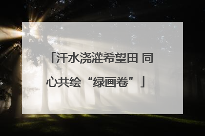 汗水浇灌希望田 同心共绘“绿画卷”