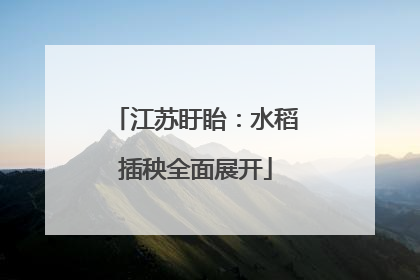 江苏盱眙：水稻插秧全面展开