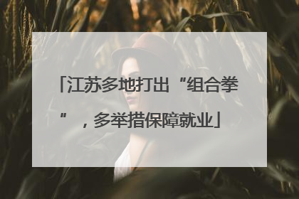 江苏多地打出“组合拳”，多举措保障就业