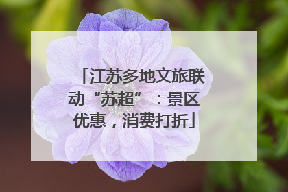 江苏多地文旅联动“苏超”：景区优惠，消费打折