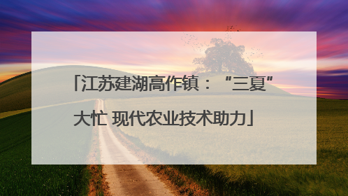 江苏建湖高作镇：“三夏”大忙 现代农业技术助力