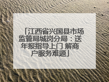 江西省兴国县市场监管局城岗分局：送年报指导上门 解商户服务难题