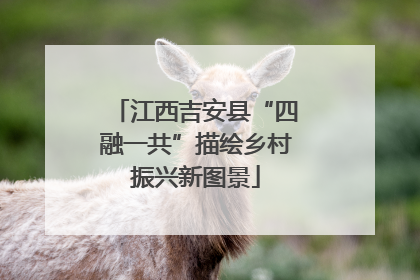 江西吉安县“四融一共”描绘乡村振兴新图景