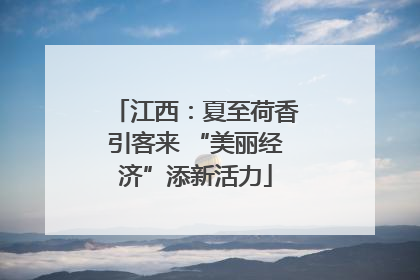 江西：夏至荷香引客来 “美丽经济”添新活力