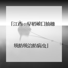 江西：早稻破口抽穗 统防统治防病虫