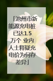池州市新能源充电桩已达1.5万个 业内人士释疑充电价为何存差异