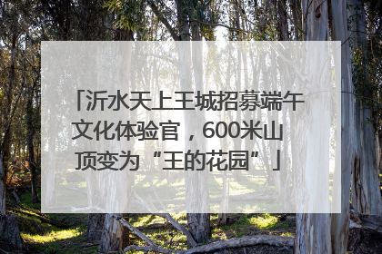 沂水天上王城招募端午文化体验官，600米山顶变为“王的花园”