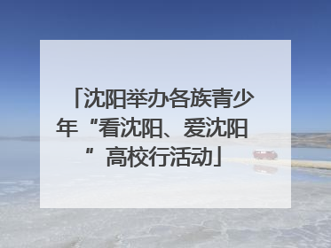 沈阳举办各族青少年“看沈阳、爱沈阳”高校行活动