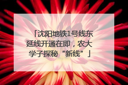 沈阳地铁1号线东延线开通在即，农大学子探秘“新线”