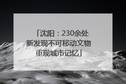 沈阳：230余处新发现不可移动文物重现城市记忆