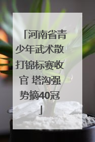 河南省青少年武术散打锦标赛收官 塔沟强势摘40冠