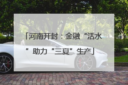 河南开封：金融“活水”助力“三夏”生产
