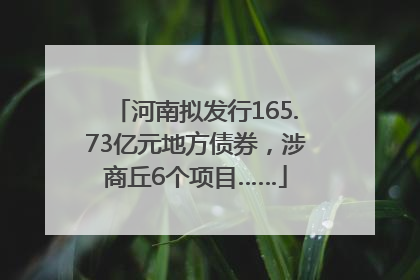 河南拟发行165.73亿元地方债券，涉商丘6个项目……